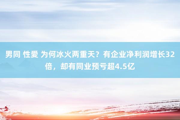 男同 性愛 为何冰火两重天？有企业净利润增长32倍，却有同业预亏超4.5亿