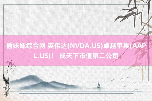 插妹妹综合网 英伟达(NVDA.US)卓越苹果(AAPL.US)！ 成天下市值第二公司