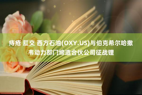 痔疮 肛交 西方石油(OXY.US)与伯克希尔哈撒韦动力部门缔造合伙公司征战锂
