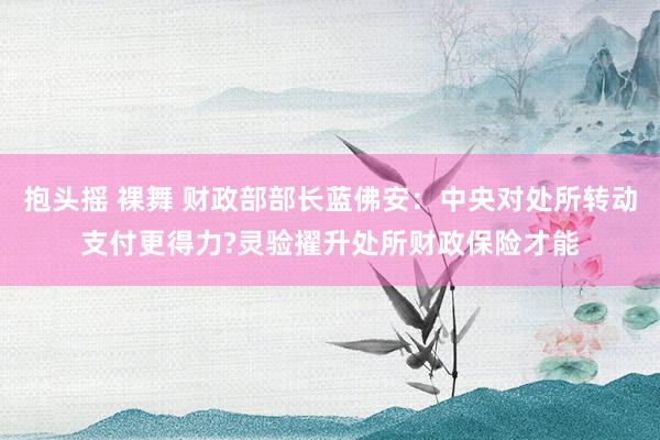 抱头摇 裸舞 财政部部长蓝佛安：中央对处所转动支付更得力?灵验擢升处所财政保险才能